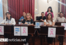 EL BLOQUE DE FUERZA PATRIA ADHIRIÓ A LA CAMPAÑA OCTUBRE ROSA DURANTE LA SESIÓN DEL HCD